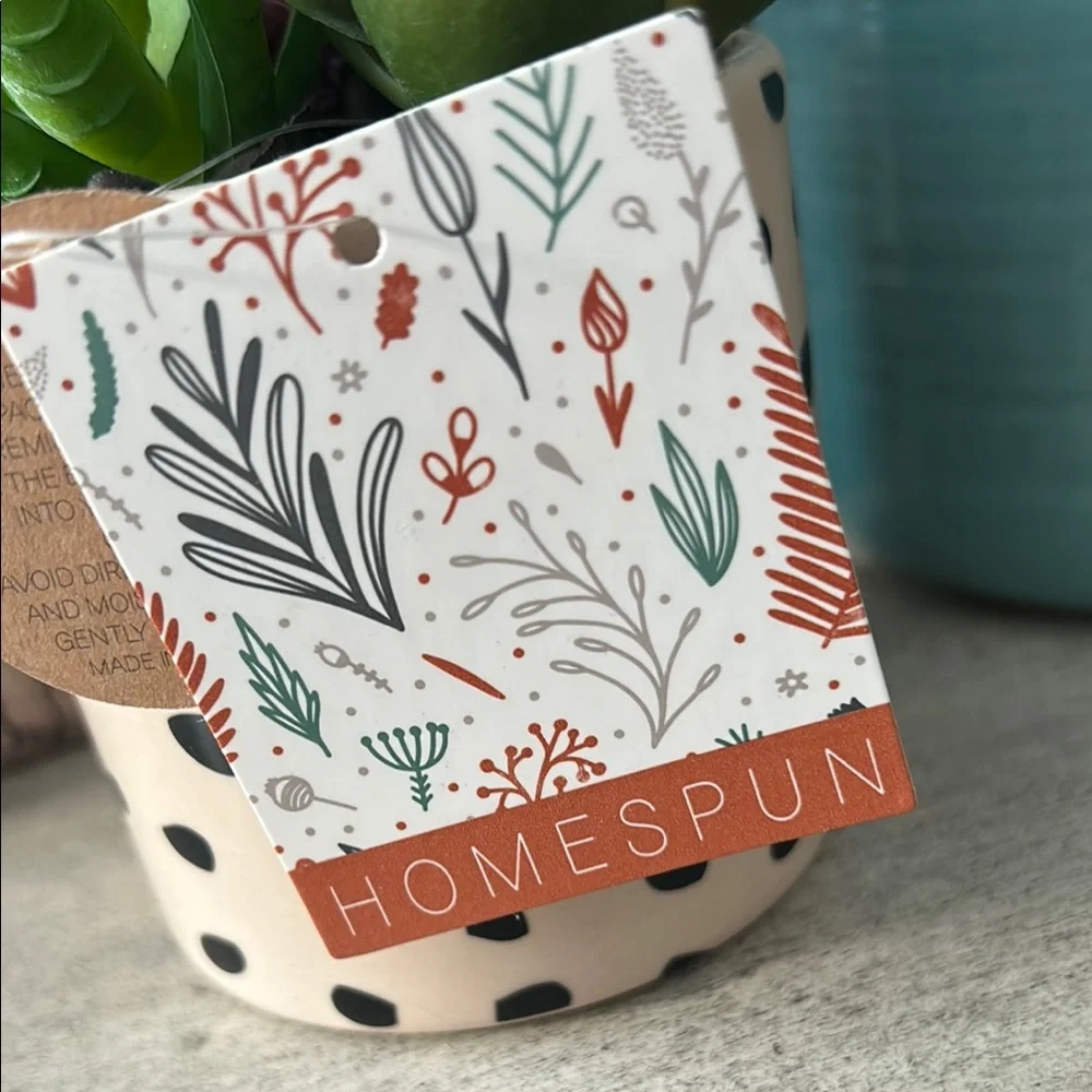 Polka Dot cheetah Planter with Succulents